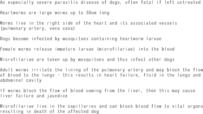 heartworm_info1